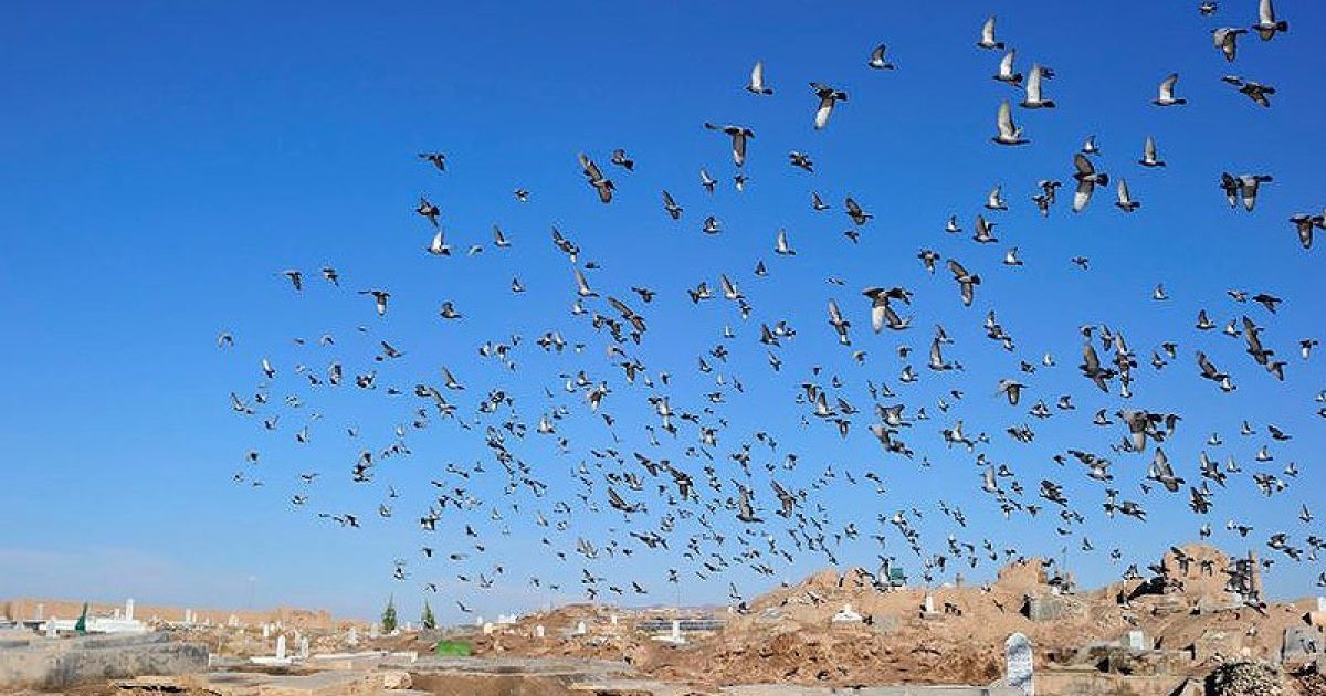 Афганські діти масово стають наркоманами і наркодилерами / © fototelegraf.ru