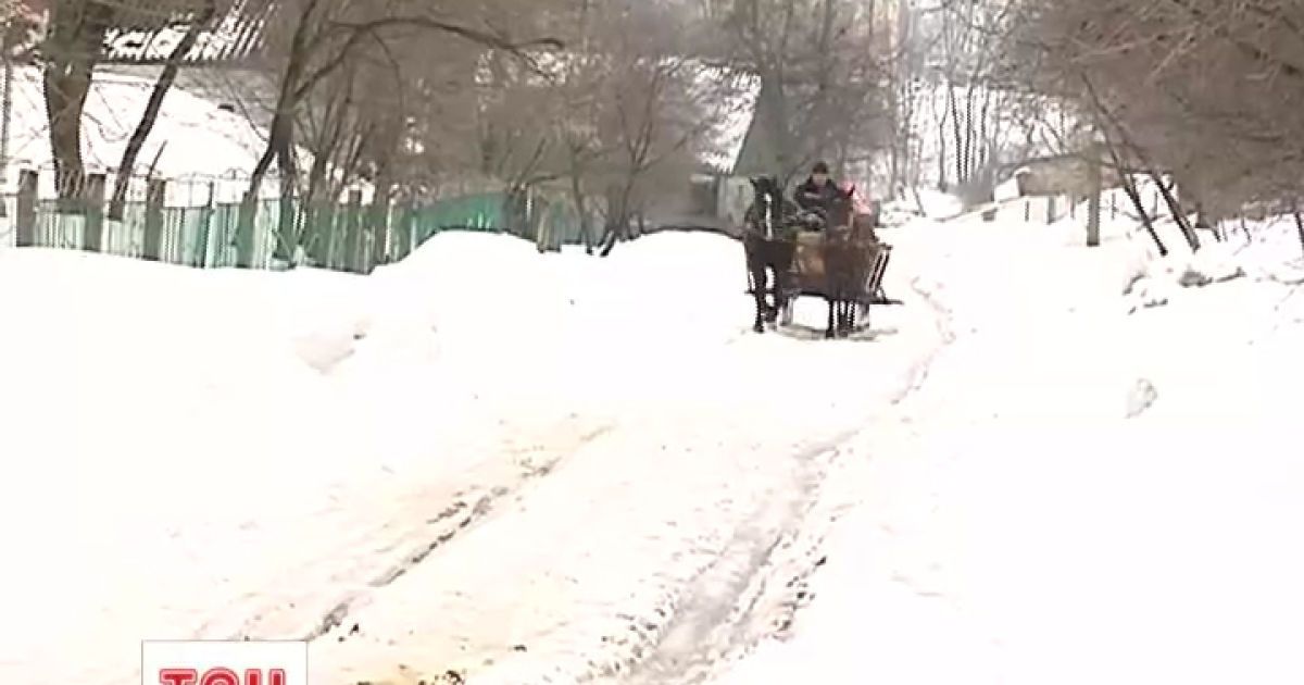 На Тернопільщині коні замінили автомобілі