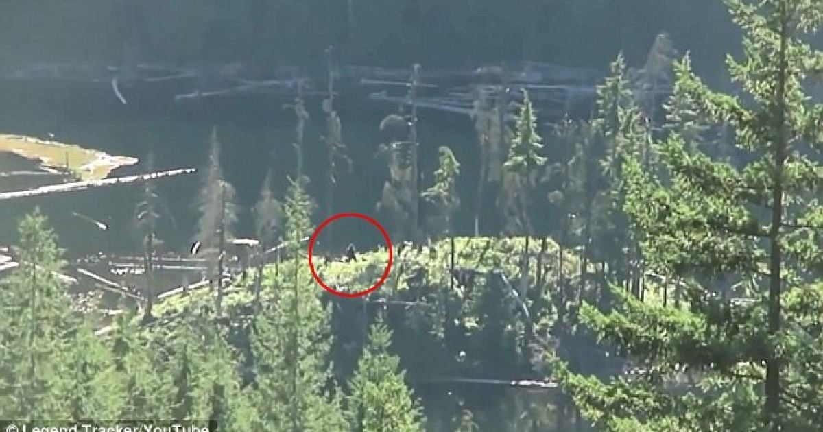 Туристи випадково зняли на відео прогулянку снігової людини в горах