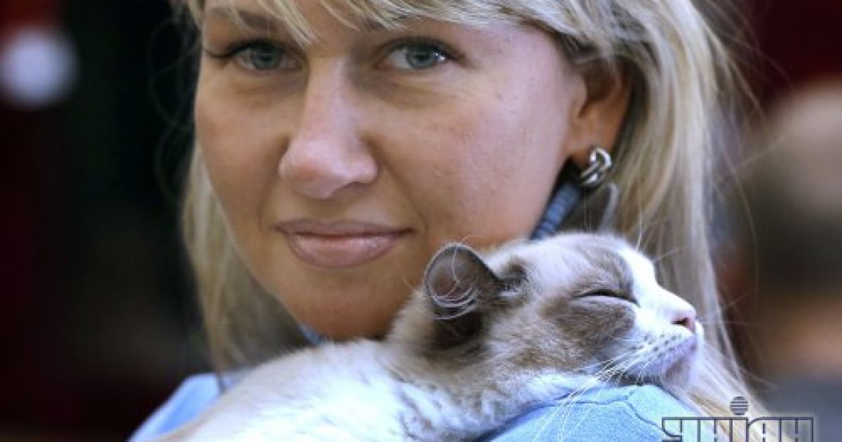 У Києві пройшла Міжнародна виставка котів / © УНІАН