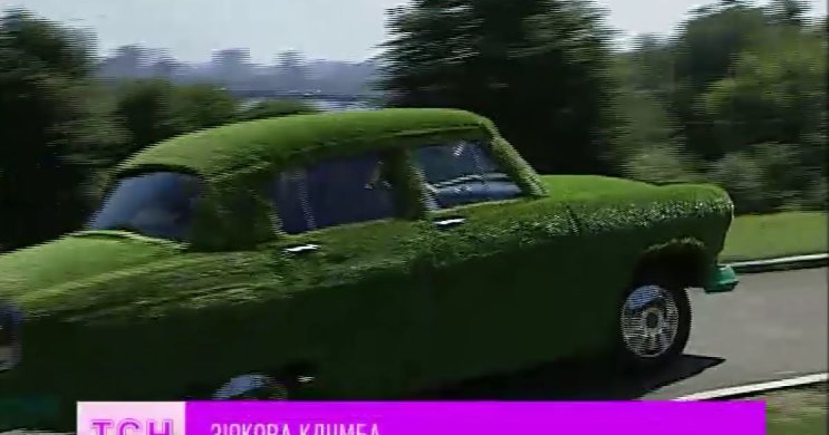 На вулиці Києва випустили покататися авто-клумбу "Волгу"