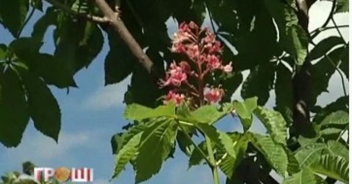 Журналісти потрапили на територію таємничої фірми