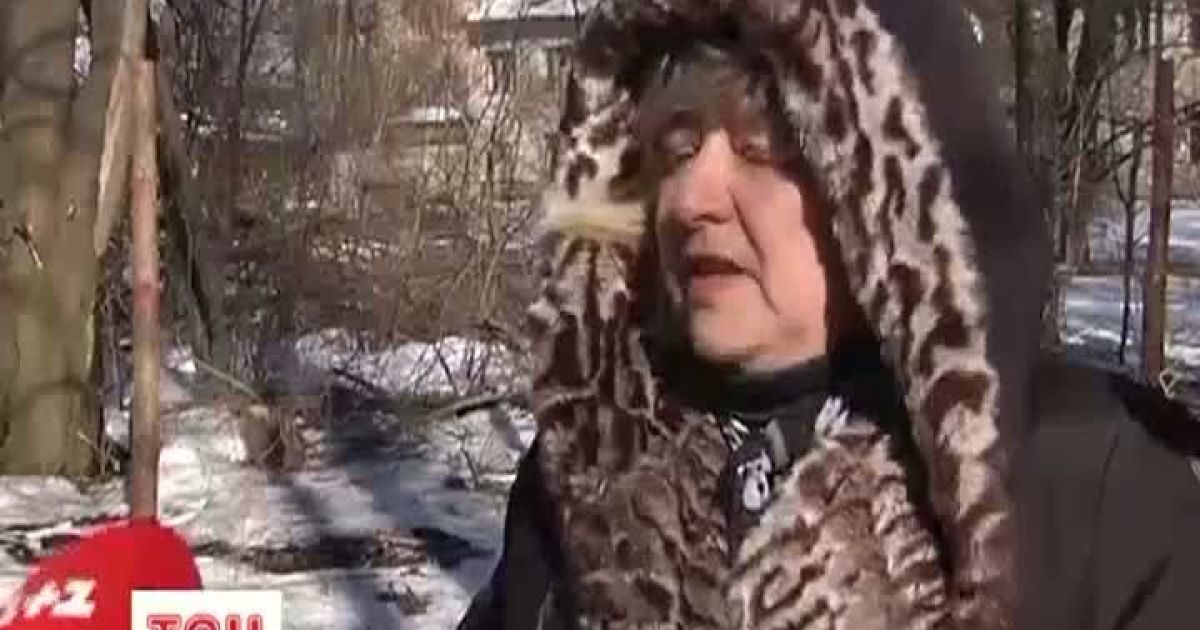 Під Києвом, почали паювати парк.