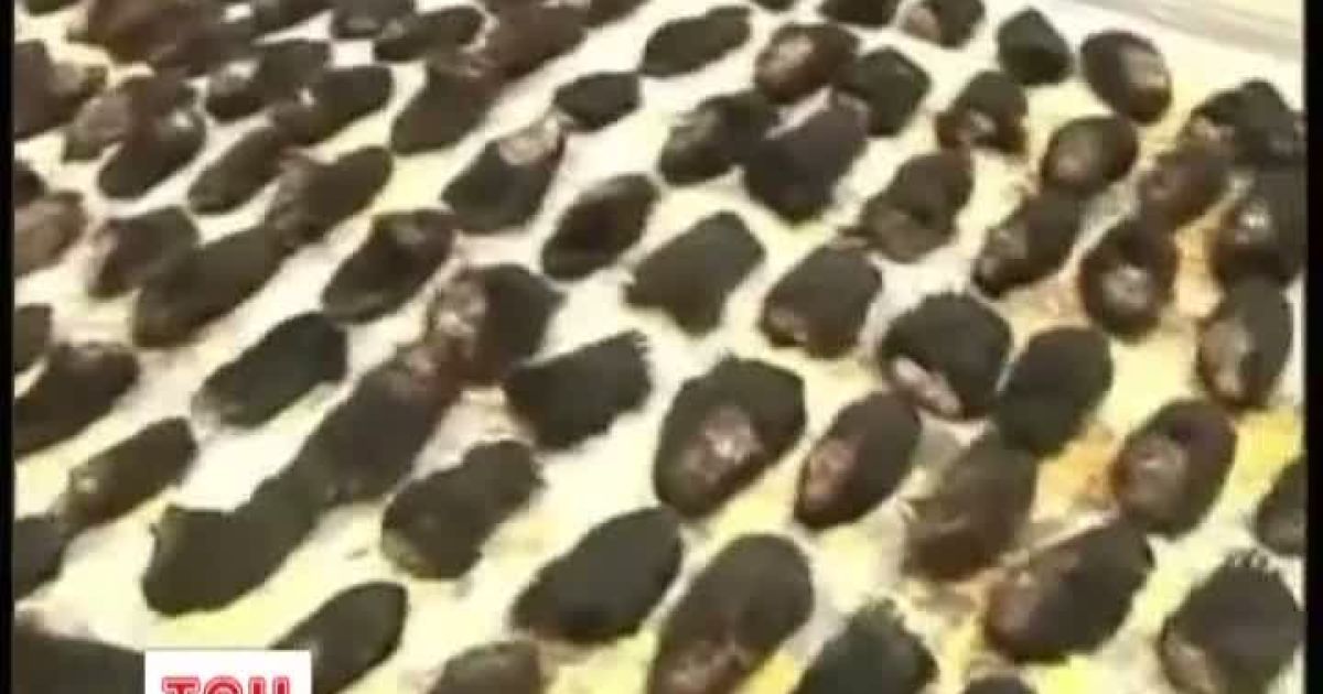 Росіяни хотіли вивезти з країни ведмежих лап на  $ 200 тисяч