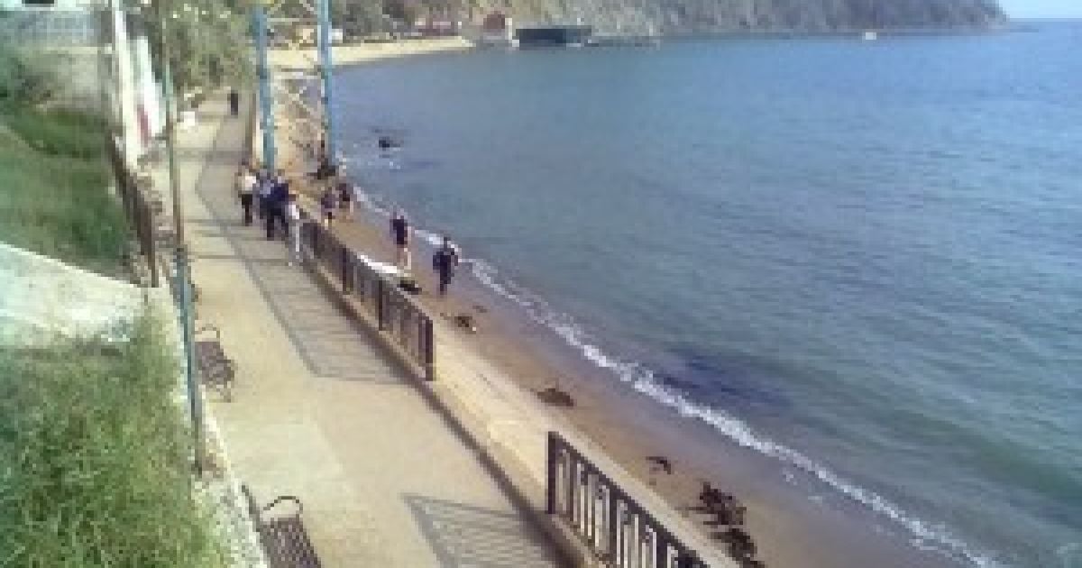Отдых в Крыму вообще не манит украинцев
