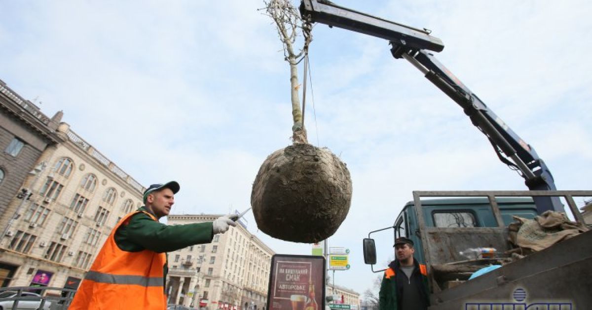 Цимбалюк: Підстав замовляти експертизу у нас не було