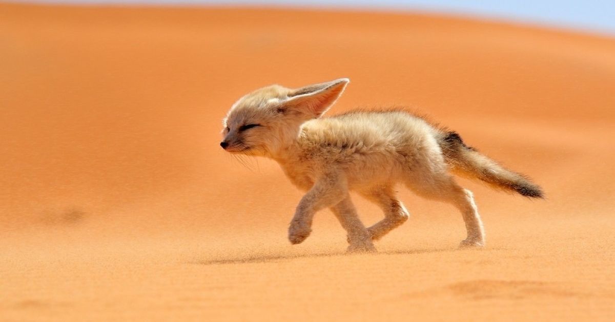 Найкращі фото конкурсу National Geographic Traveler