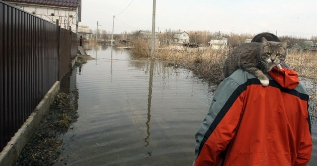 У селі Підгірці вода залила вулиці і будинки / © Сегодня
