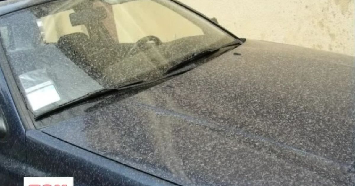 Хмара пилу з Африки пофарбувала ужгородську зливу у рудий