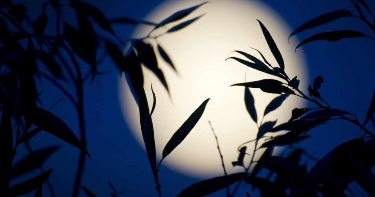 Супермісяць 2013 / © Фото EPA/UPG