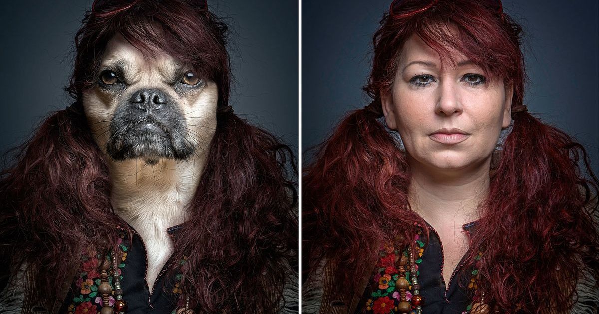 Фотограф хотів порівняти, наскільки собаки схожі на своїх господарів