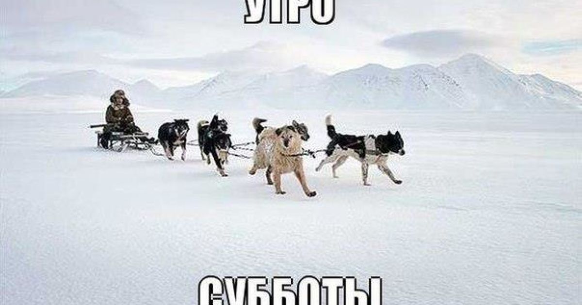 Кияни у шоці від погоди і ситуації на дорогах / © vk.com