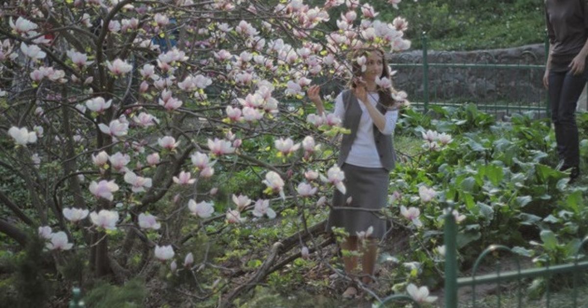 Ботанічний сад зачаровує відвідувачів квітучими магноліями / © Сегодня/Сергій Ус