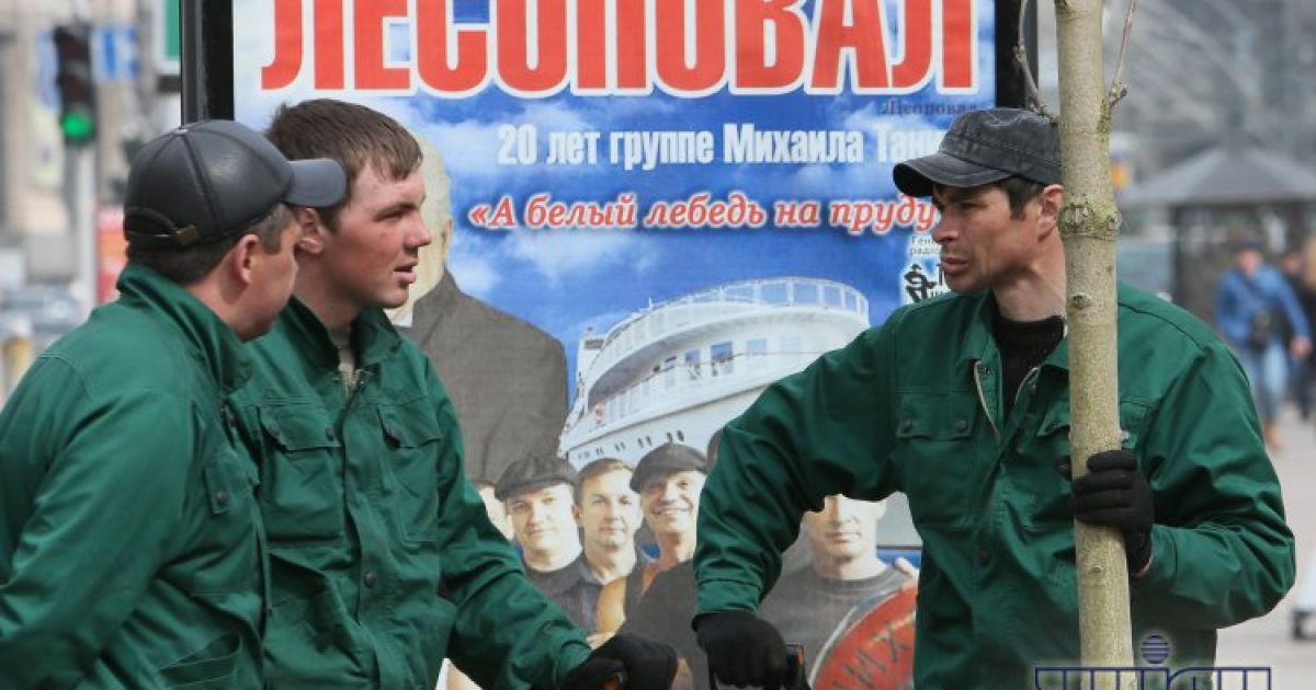 Попов з Герегою садили каштани в лакованому взутті / © УНІАН