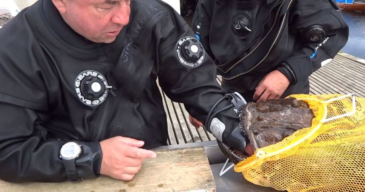 Морський чорт проковтнув руку водолаза.