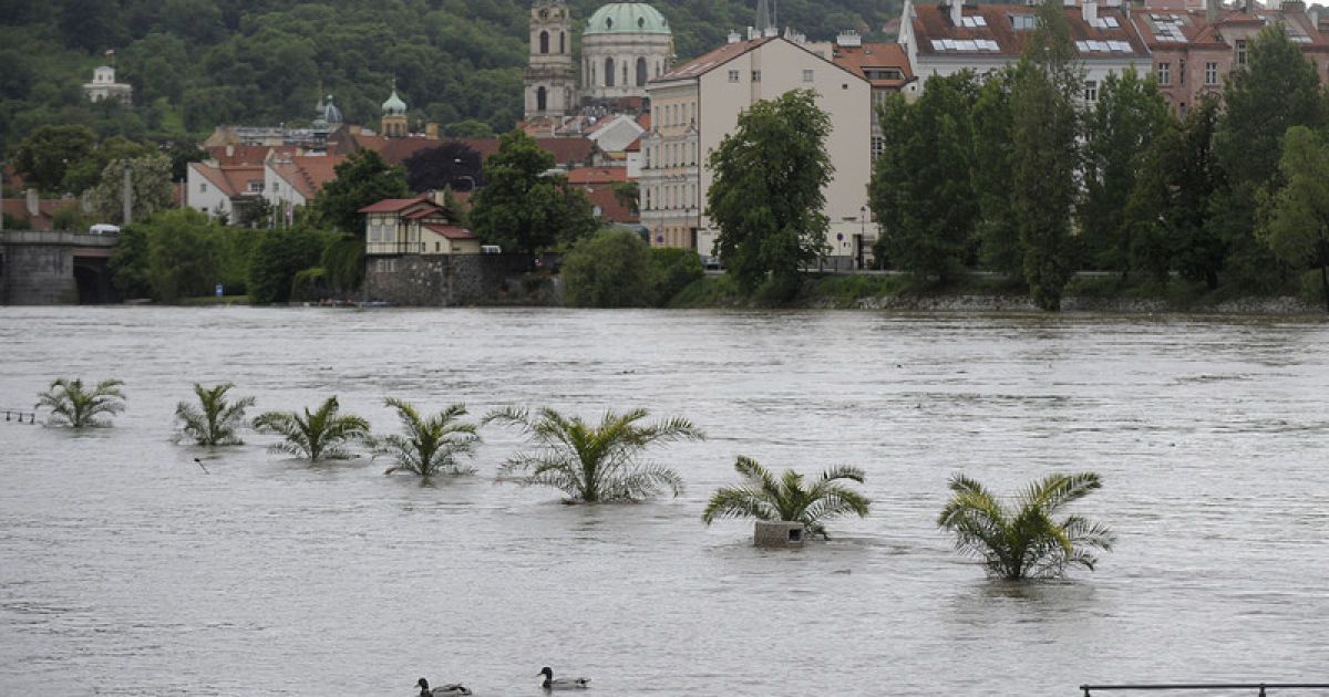 З-під води на затопленій набережній Праги видніються самі тільки верхівки дерев / © Фото EPA/UPG