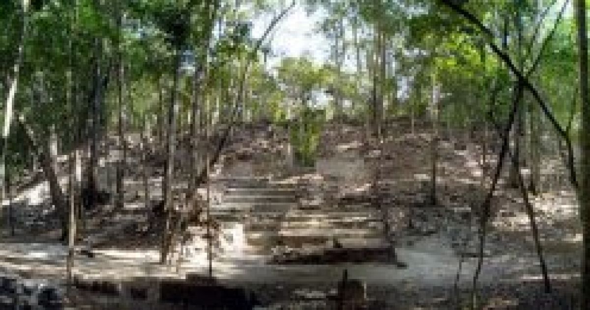 Виявили місто Майя / © lenta-ua.net