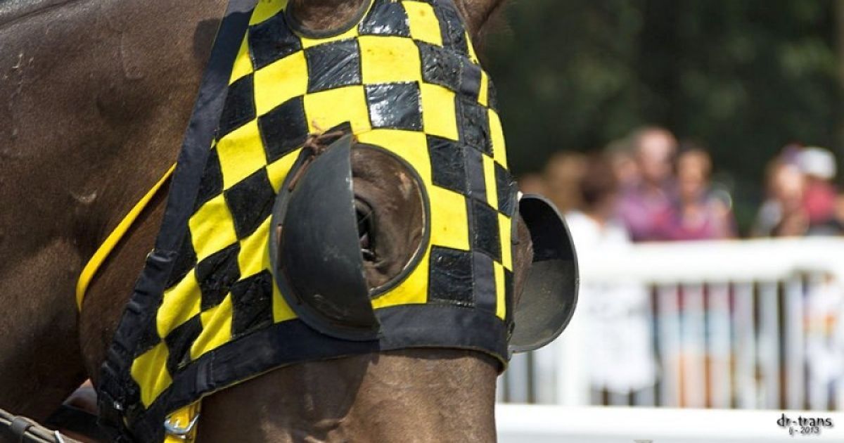 Одеський іподром відродився після десяти років бездіяльності. / © Думская.net