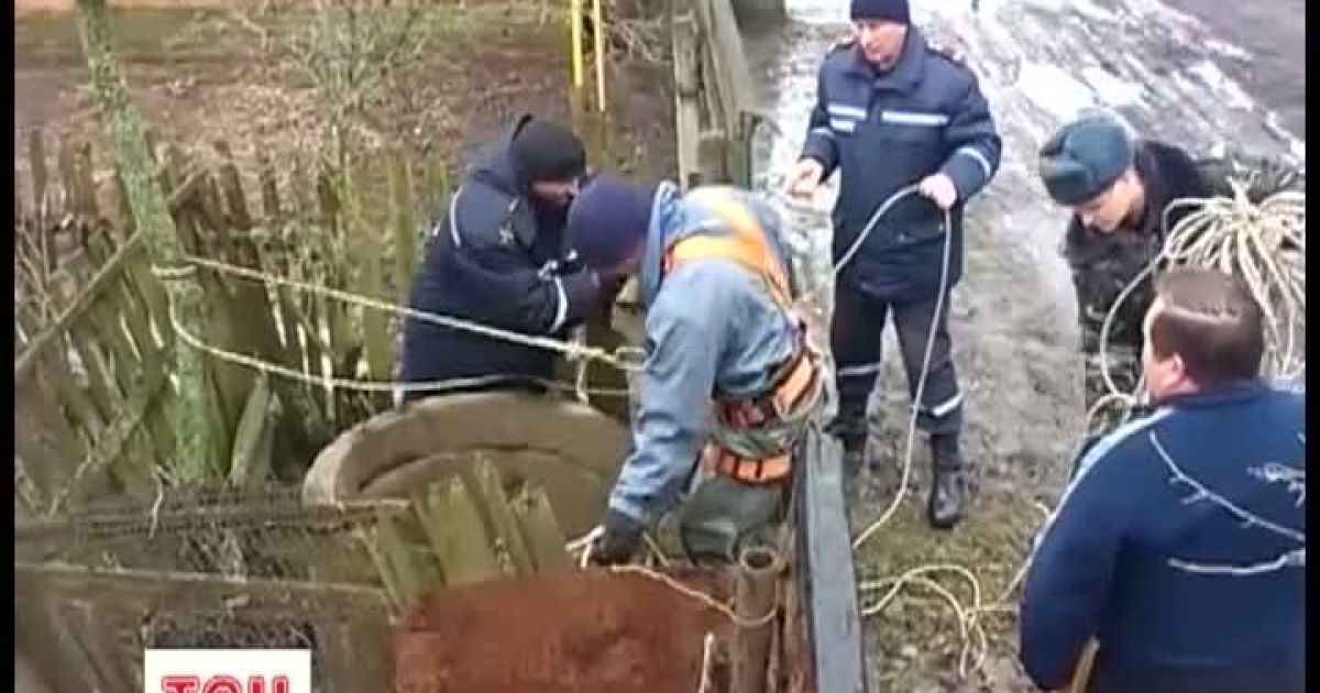 Пес протримався кілька годин до приїзду рятувальників