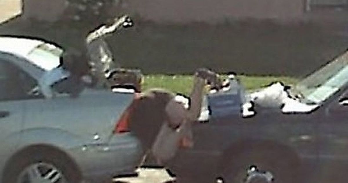 Найдивніші фотографії Google Street View / © bigpicture.ru