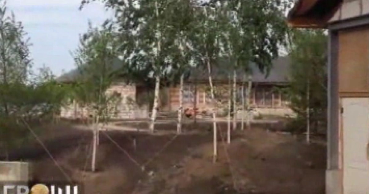 Син Раїси Богатирьової добудовує маєток