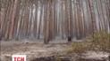 У Криму оголосили  4  рівень пожежної небезпеки