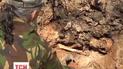 В Кривом Роге мужчина у себя во дворе нашел массовое захоронение