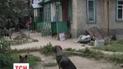 Масова втеча з притулку для тварин у Києві