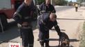 Порятунок чотирилапого у Луганську