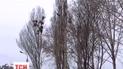 Штормове попередження оголосили в Криму