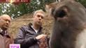Свєтлаков познайомився зі своїми віслюками у київському зоопарку
