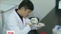 У Китаї зросла кількість жертв пташиного грипу
