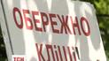 Кліщі відкрили сезон полювання на людей
