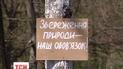 На Херсонщині почали вирубувати заповідний ліс