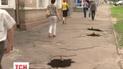 Засадити поколупані тротуари квітами вирішили чернігівські жінки