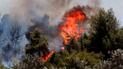 В Афінах палають лісові пожежі