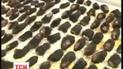 Китайські митники затримали ведмежих лап на понад 200 тисяч доларів