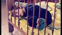 Мета проекту &ndash; привернути увагу суспільства до проблеми аутизму  (Фото: Надія Березовська)