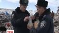 От мороза страдают сотни аистов на Тернопольщине