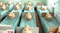 На Тернопольщине парализована работа всех дошкольных заведений