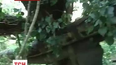 Кривому Рогу на преодоление последствий урагана понадобится неделя
