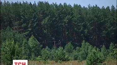 В Украине начинается жара, которая продлится до конца августа