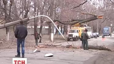 Пока Львов страдает от снега, в Днепре бушует сильный ветер