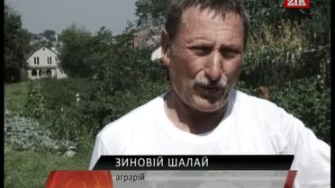 На Львовщине установлен новый температурный рекорд