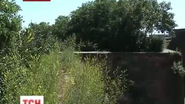 Мукачево разыскивает добровольцев, чтобы отдать склоны замковой горы для выращивания винограда