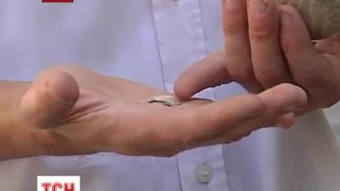 У Львові знайшли писанку, якій 500 років