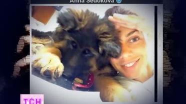 ТСН.Особливе внимательно следит за звездными разговорами в соцсетях