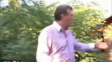 В Одессе под видом церковной школы строят дворец с бассейном