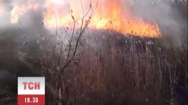 В Одесской области загорелся камыш на 10 гектарах