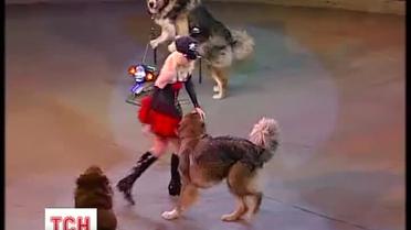 Национальный цирк открывает экспериментальный летний сезон новой программой "Але-ап"